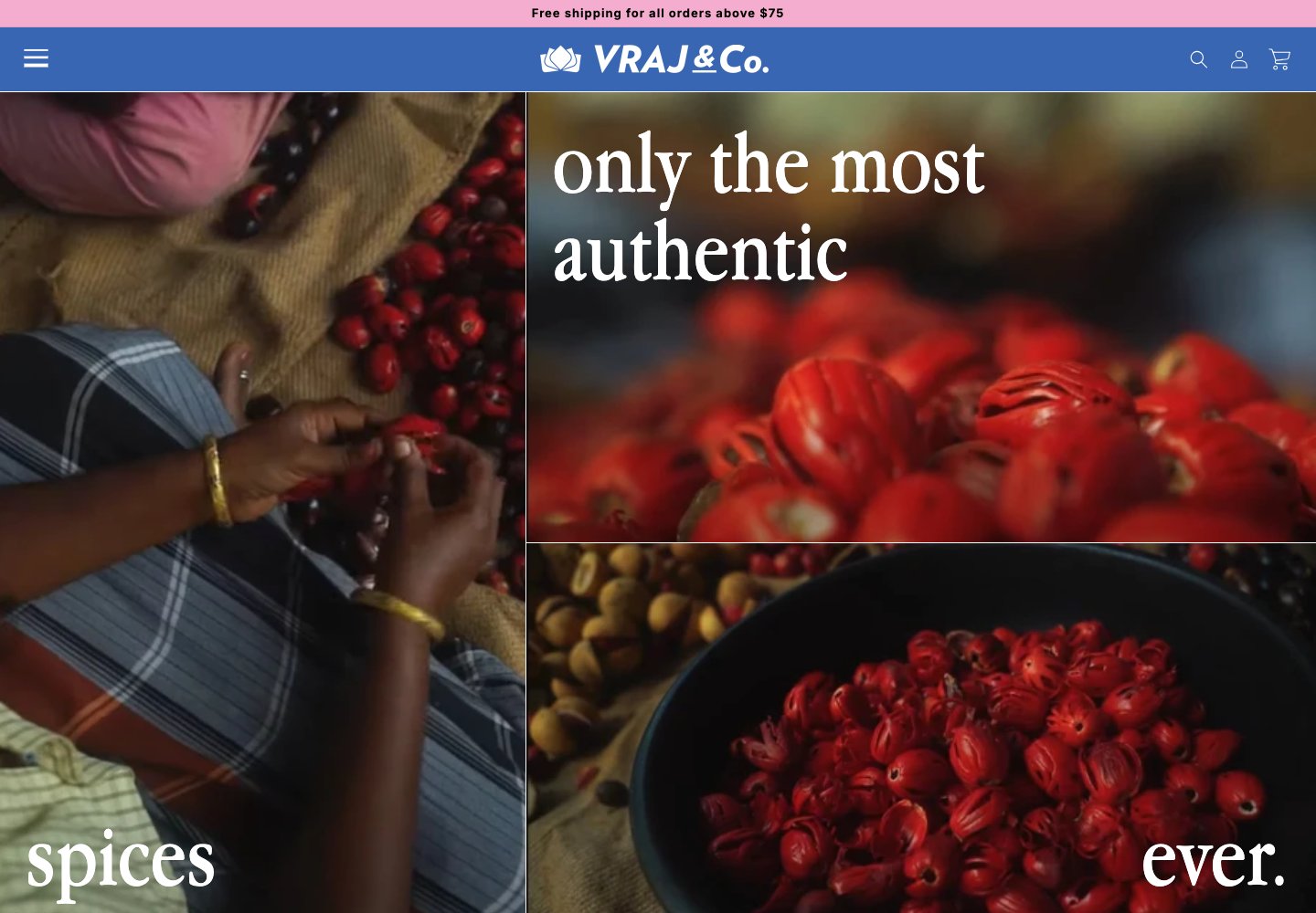 Vraj & Co. website on desktop